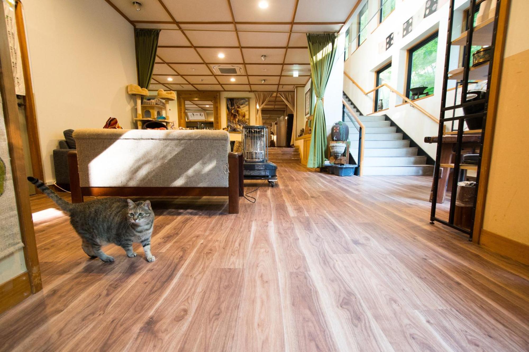 Akasawa Onsen Ryokan นาสุชิโอบาระ ภายนอก รูปภาพ