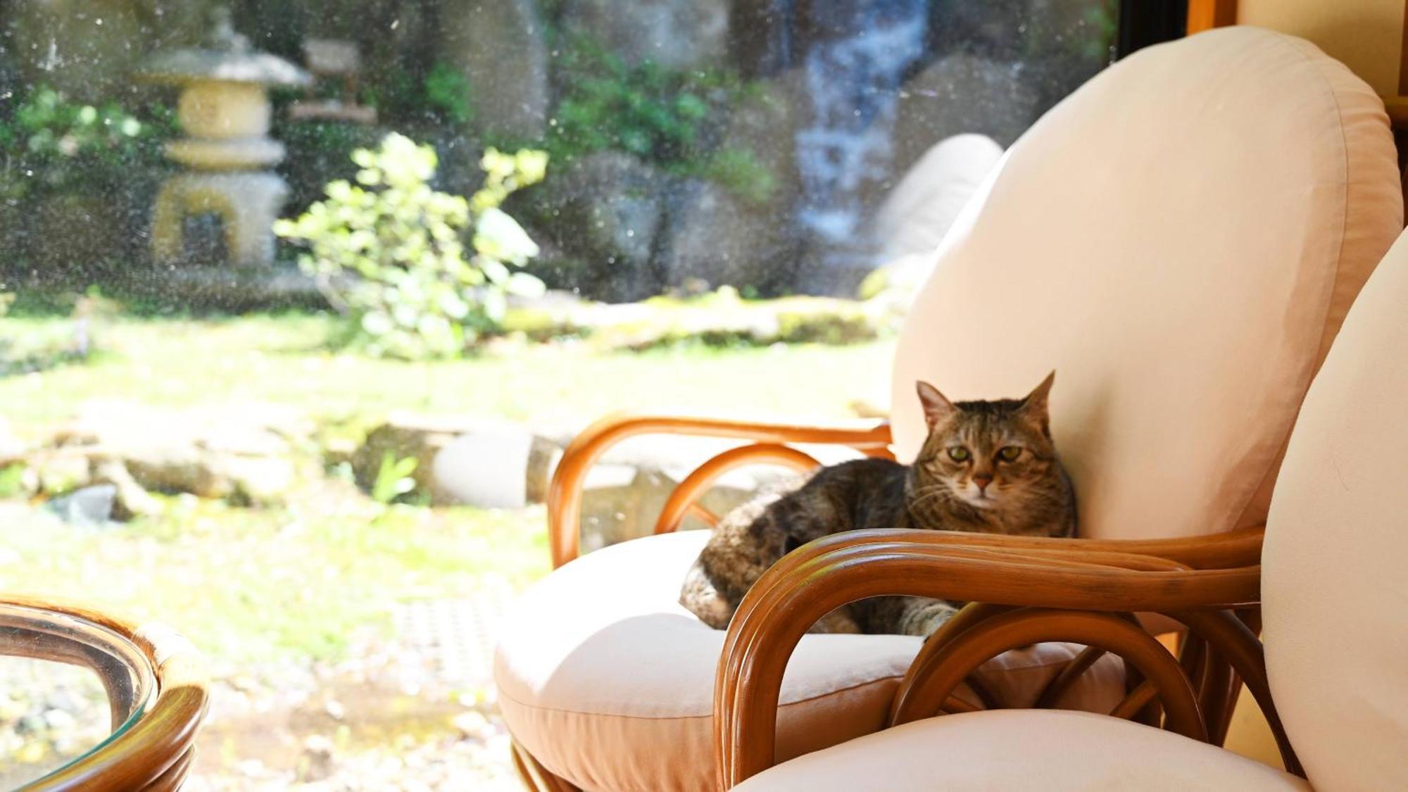 Akasawa Onsen Ryokan นาสุชิโอบาระ ภายนอก รูปภาพ